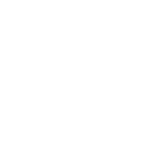 Person icon with tie and stars, symbolizing support from experienced insurance experts