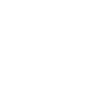 Car icon, symbolizing access to new models in rental